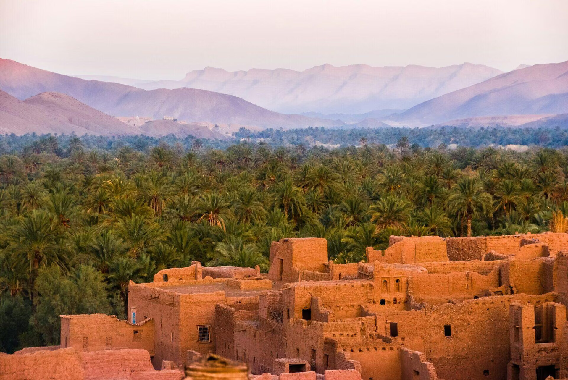 Kasbah en pisé et palmeraie au pied de l'Atlas