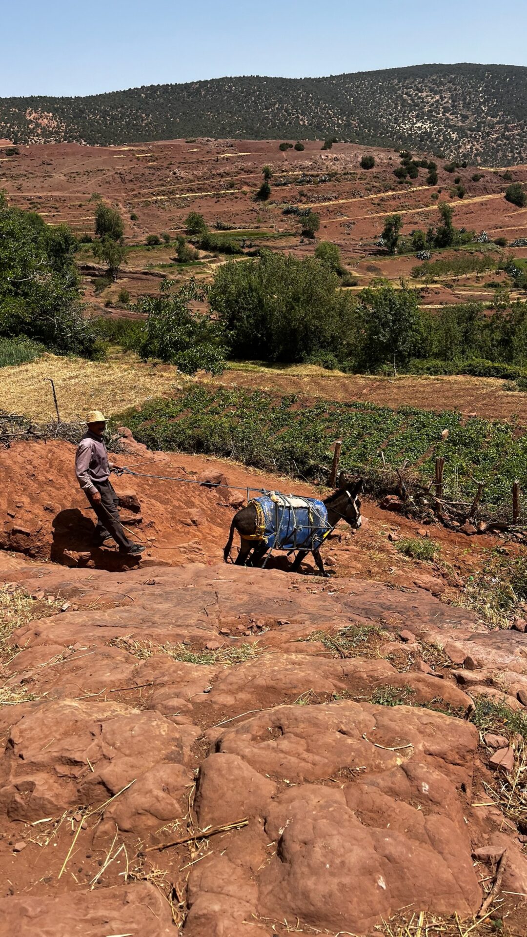 Paysan et son âne sur une terre rouge de l'Atlas
