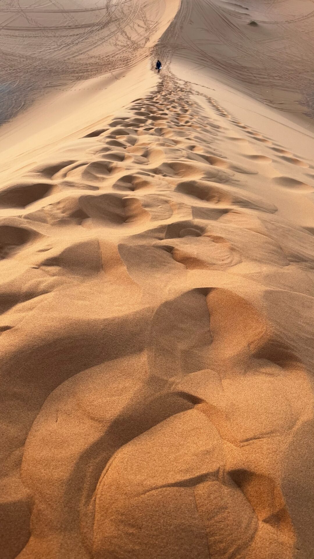 Traces de pas sur la crête d'une dune
