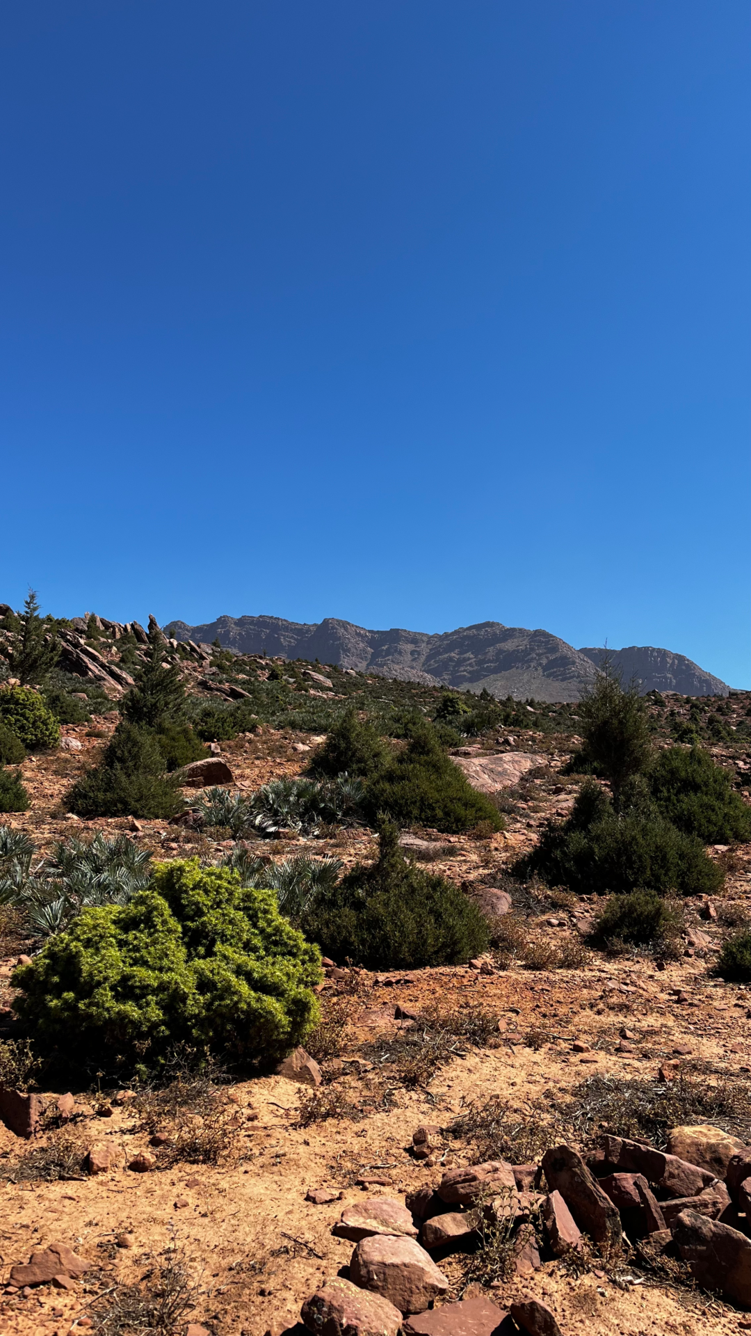 Paysage rocailleux et montagnes de l'Atlas sous un ciel bleu