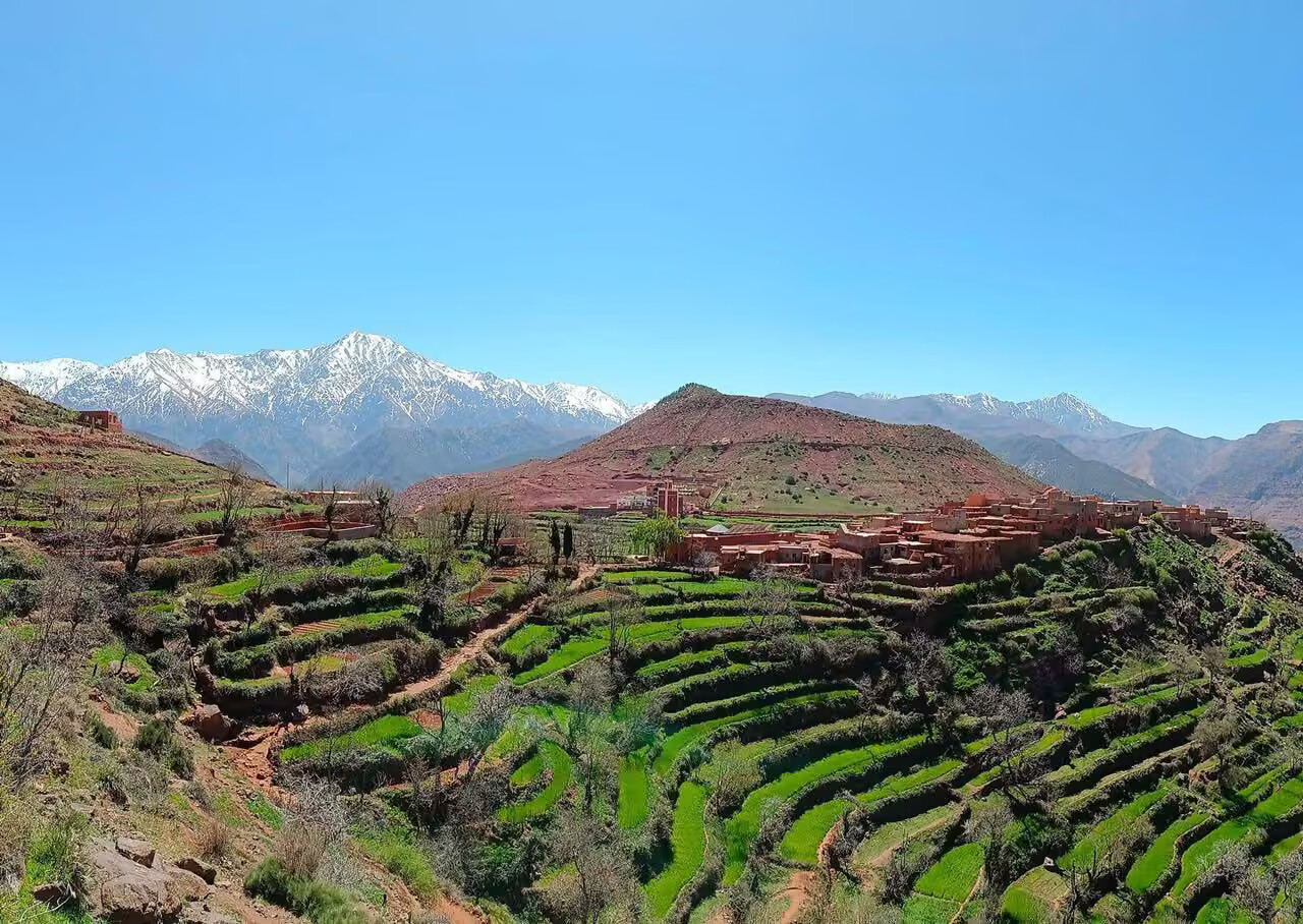 Cultures en terrasses et sommets enneigés de l'Atlas