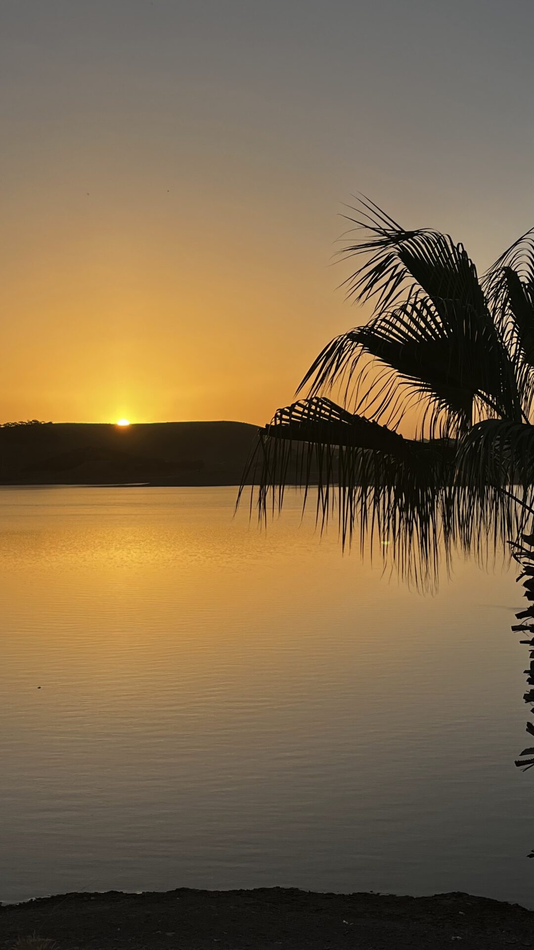 Coucher de soleil sur un lac bordé de palmiers