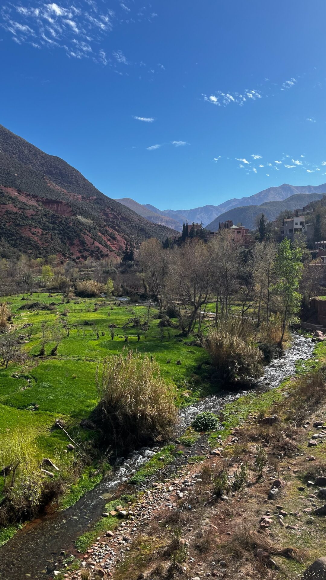 Vallée verdoyante de l'Atlas sous un ciel bleu