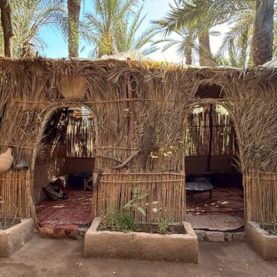 Abri traditionnel en palmes dans une oasis