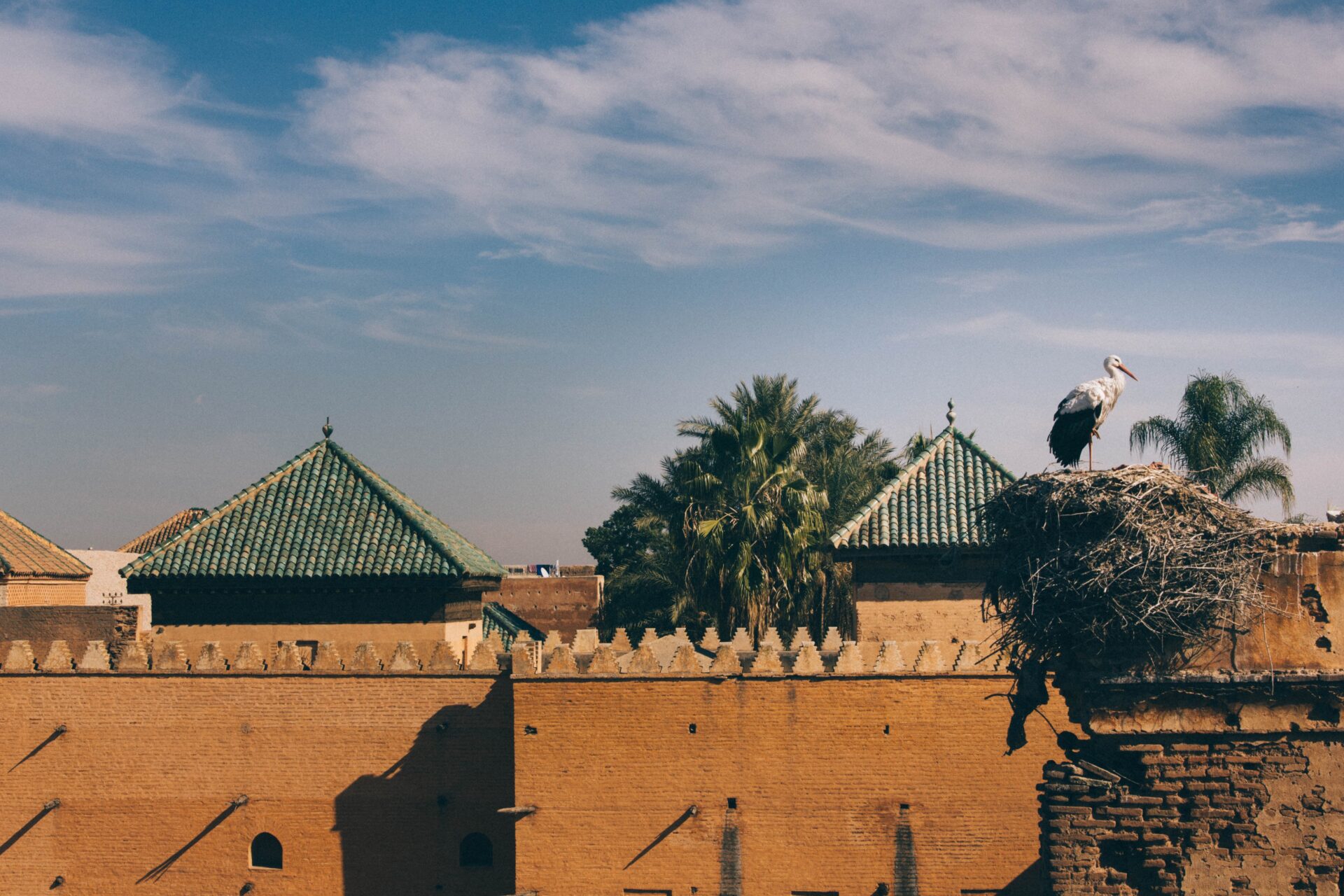 Toits de tuiles vertes et cigognes à Marrakech